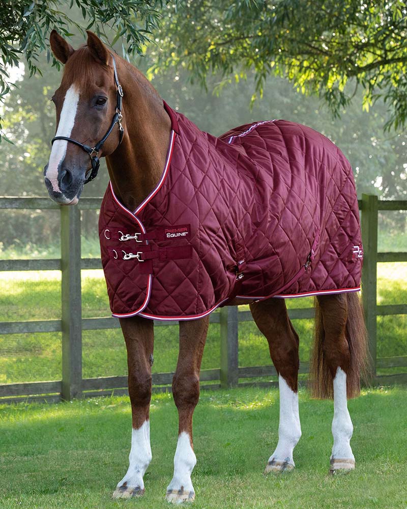 Lightweight Stable Rugs